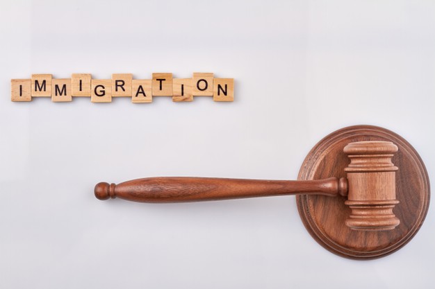  Immigration Lawyer
