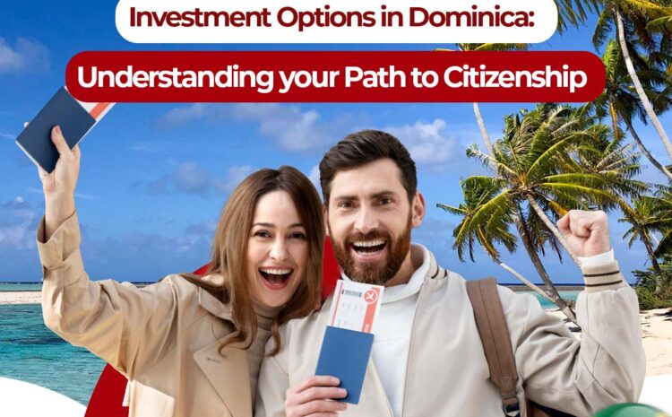  Investment Options in Dominica: Understanding Your Path to Citizenship