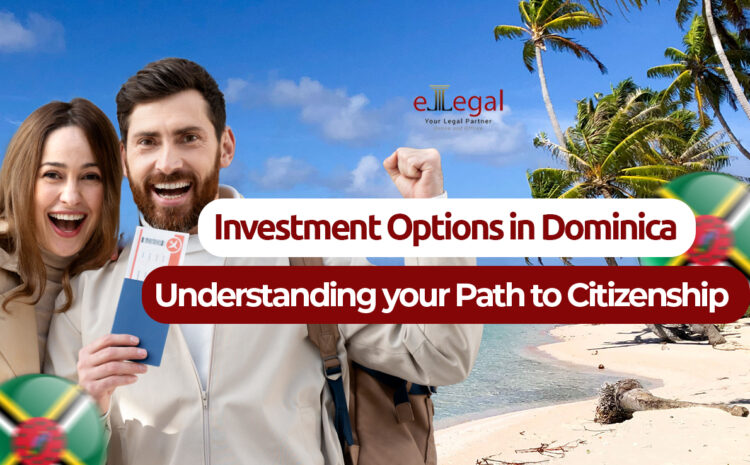  Investment Options in Dominica: Understanding Your Path to Citizenship