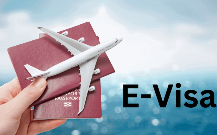  UAE Guide To e-Visa For GCC Countries: All You Need To Know