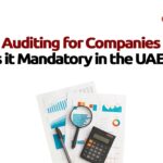 AUDITING FOR COMPANIES